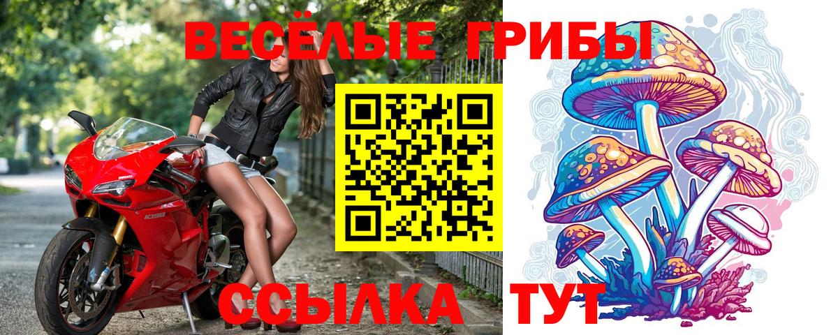 Псилоцибиновые грибы GOLDEN TEACHER Кстово