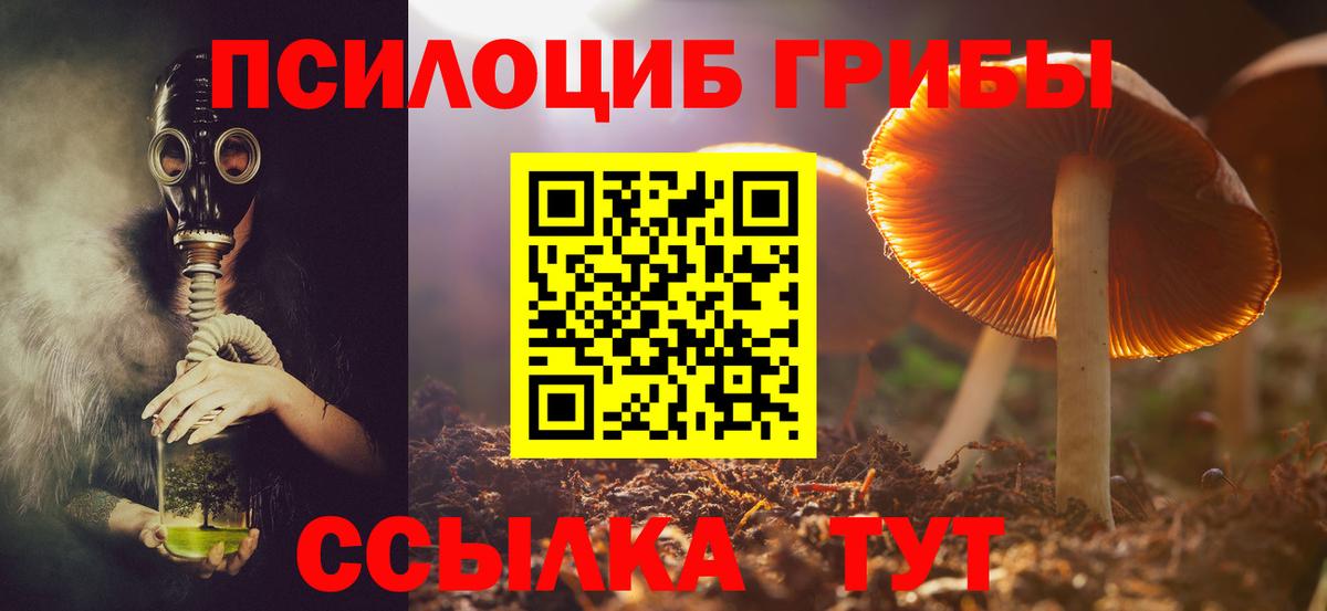 Галлюциногенные грибы Psilocybine cubensis  Вход с VPN  Псилоцибиновые грибы GOLDEN TEACHER  Кстово 
